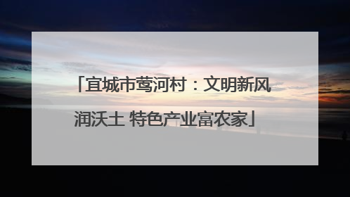 宜城市莺河村：文明新风润沃土 特色产业富农家