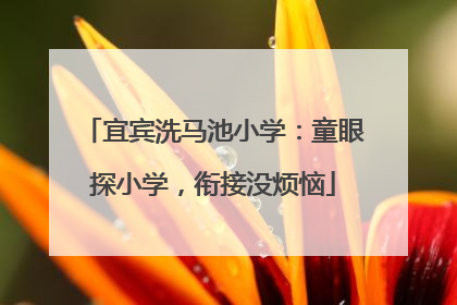 宜宾洗马池小学：童眼探小学，衔接没烦恼