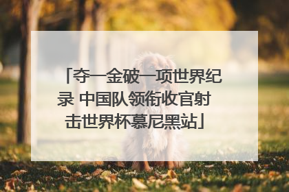 夺一金破一项世界纪录 中国队领衔收官射击世界杯慕尼黑站
