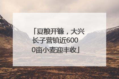 夏粮开镰，大兴长子营镇近6000亩小麦迎丰收