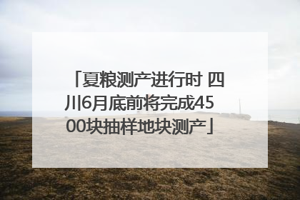 夏粮测产进行时 四川6月底前将完成4500块抽样地块测产