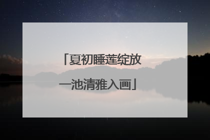 夏初睡莲绽放 一池清雅入画