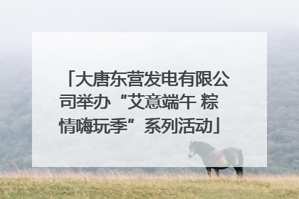 大唐东营发电有限公司举办“艾意端午 粽情嗨玩季”系列活动