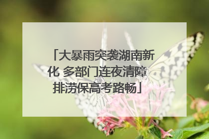 大暴雨突袭湖南新化 多部门连夜清障排涝保高考路畅