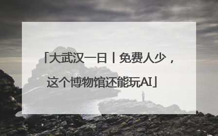 大武汉一日丨免费人少，这个博物馆还能玩AI