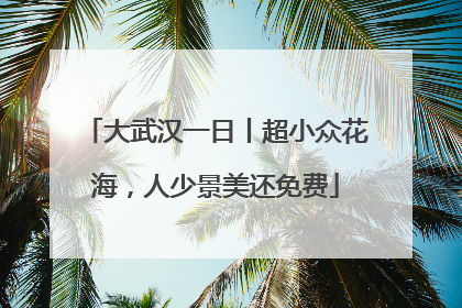大武汉一日丨超小众花海，人少景美还免费
