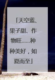 天空蓝、果子甜、作物旺……种种美好，如夏而至