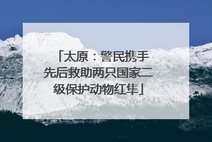 太原：警民携手 先后救助两只国家二级保护动物红隼