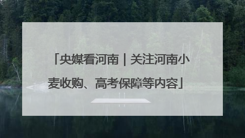 央媒看河南｜关注河南小麦收购、高考保障等内容