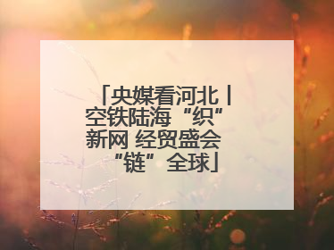 央媒看河北丨空铁陆海“织”新网 经贸盛会“链”全球