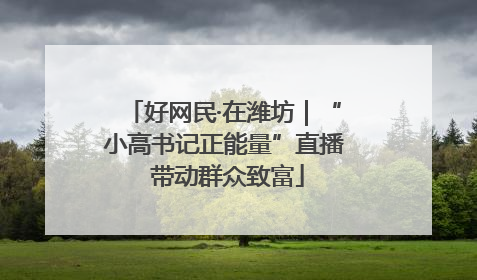 好网民·在潍坊｜“小高书记正能量”直播 带动群众致富