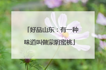 好品山东：有一种味道叫做蒙阴蜜桃