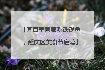 奔百里画廊吃铁锅鱼，延庆区美食节启幕