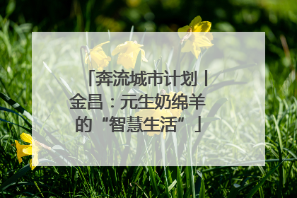 奔流城市计划丨金昌：元生奶绵羊的“智慧生活”