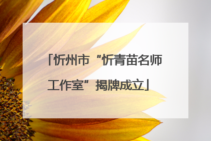忻州市“忻青苗名师工作室”揭牌成立