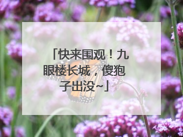 快来围观！九眼楼长城，傻狍子出没~