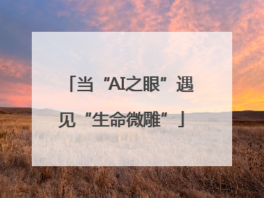 当“AI之眼”遇见“生命微雕”