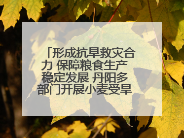 形成抗旱救灾合力 保障粮食生产稳定发展 丹阳多部门开展小麦受旱情况调研
