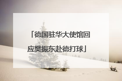 德国驻华大使馆回应樊振东赴德打球