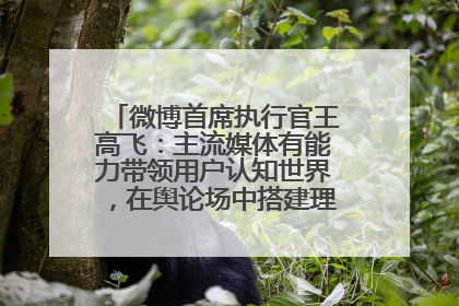 微博首席执行官王高飞：主流媒体有能力带领用户认知世界，在舆论场中搭建理性的讨论空间