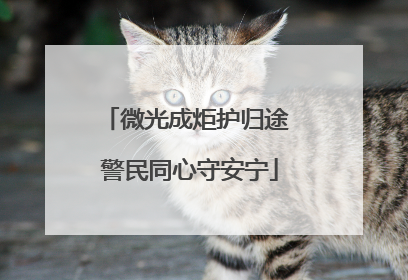 微光成炬护归途 警民同心守安宁