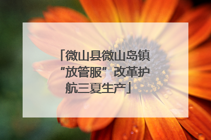 微山县微山岛镇“放管服”改革护航三夏生产