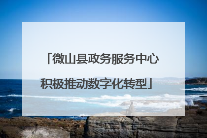 微山县政务服务中心积极推动数字化转型