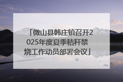 微山县韩庄镇召开2025年度夏季秸秆禁烧工作动员部署会议