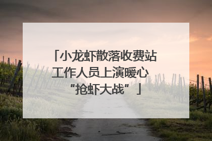 小龙虾散落收费站 工作人员上演暖心“抢虾大战”
