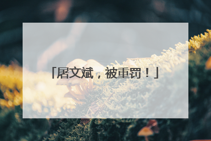 屠文斌，被重罚！