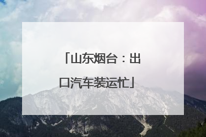 山东烟台：出口汽车装运忙