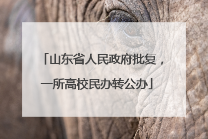 山东省人民政府批复，一所高校民办转公办