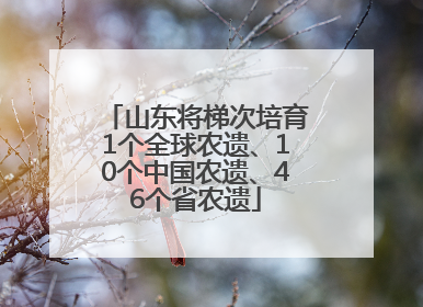 山东将梯次培育1个全球农遗、10个中国农遗、46个省农遗