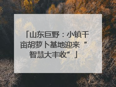 山东巨野：小镇千亩胡萝卜基地迎来“智慧大丰收”