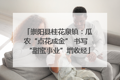崇阳县桂花泉镇：瓜农“点花成金” 书写“甜蜜事业”增收经