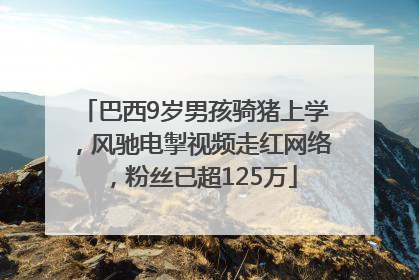巴西9岁男孩骑猪上学，风驰电掣视频走红网络，粉丝已超125万