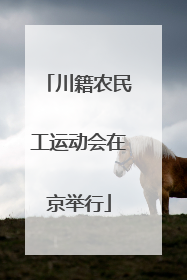 川籍农民工运动会在京举行