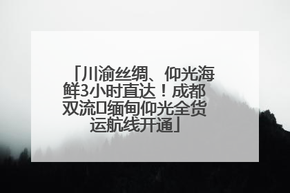 川渝丝绸、仰光海鲜3小时直达！成都双流⇌缅甸仰光全货运航线开通