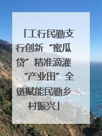工行民勤支行创新“蜜瓜贷”精准滴灌“产业田”全链赋能民勤乡村振兴