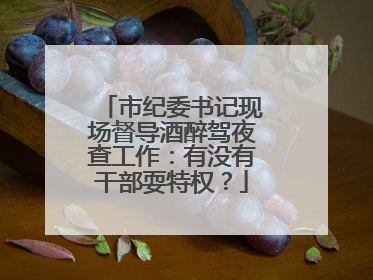 市纪委书记现场督导酒醉驾夜查工作：有没有干部耍特权？