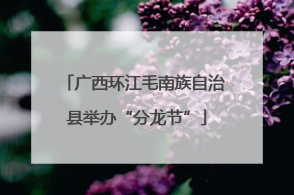 广西环江毛南族自治县举办“分龙节”