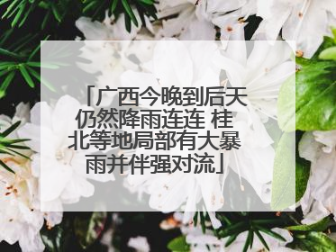 广西今晚到后天仍然降雨连连 桂北等地局部有大暴雨并伴强对流