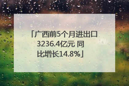 广西前5个月进出口3236.4亿元 同比增长14.8%