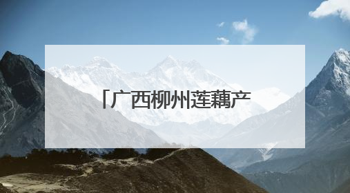 广西柳州莲藕产业领军人泥土里“掘金”富乡邻
