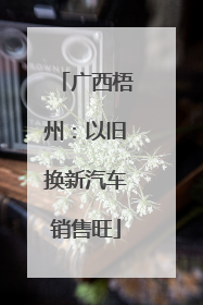 广西梧州：以旧换新汽车销售旺