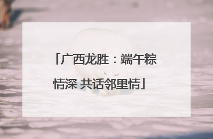 广西龙胜：端午粽情深 共话邻里情