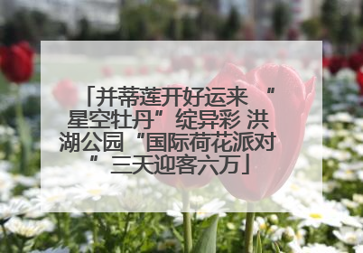 并蒂莲开好运来 “星空牡丹”绽异彩 洪湖公园“国际荷花派对”三天迎客六万