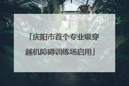 庆阳市首个专业级穿越机障碍训练场启用