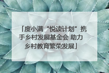 度小满“悦读计划”携手乡村发展基金会 助力乡村教育繁荣发展