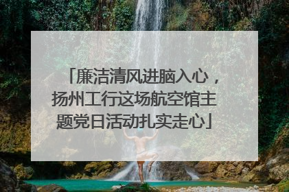 廉洁清风进脑入心，扬州工行这场航空馆主题党日活动扎实走心